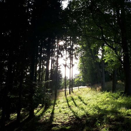 Отель Olivin Kytlice Hiker Huts Экстерьер фото